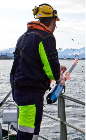 91蜜桃成品人视频入口