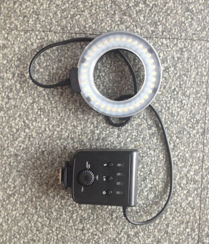 91蜜桃成品人视频入口