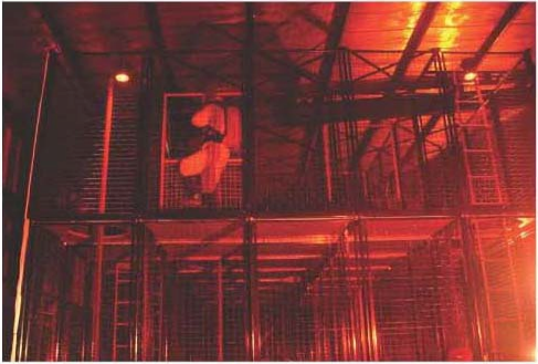 91蜜桃成品人视频入口