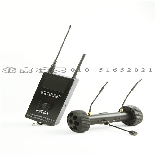 91蜜桃成品人视频入口