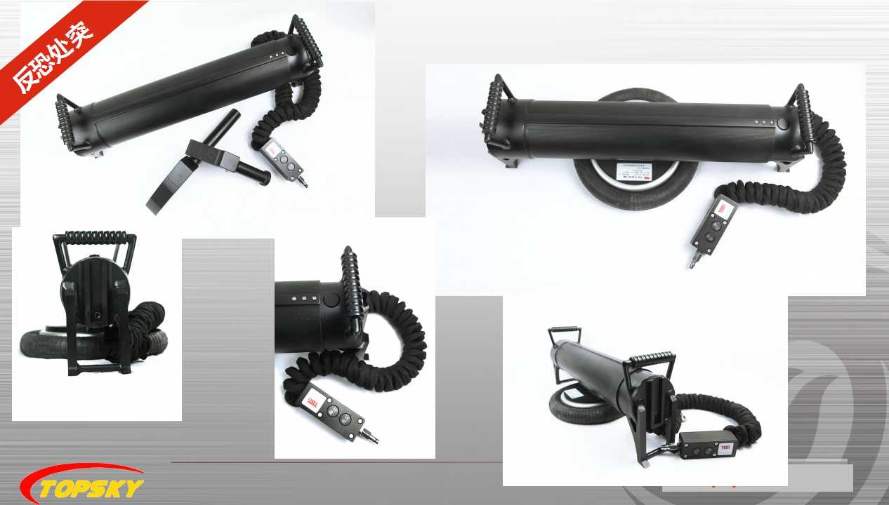 91蜜桃成品人视频入口