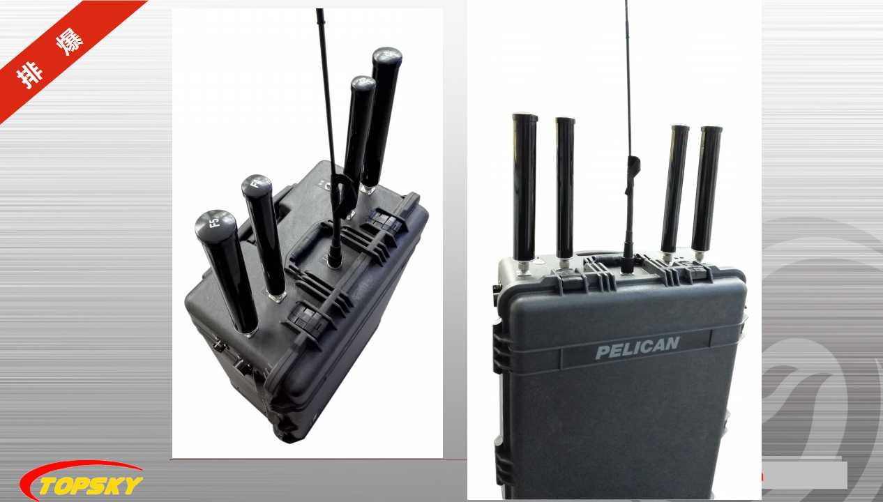 91蜜桃成品人视频入口