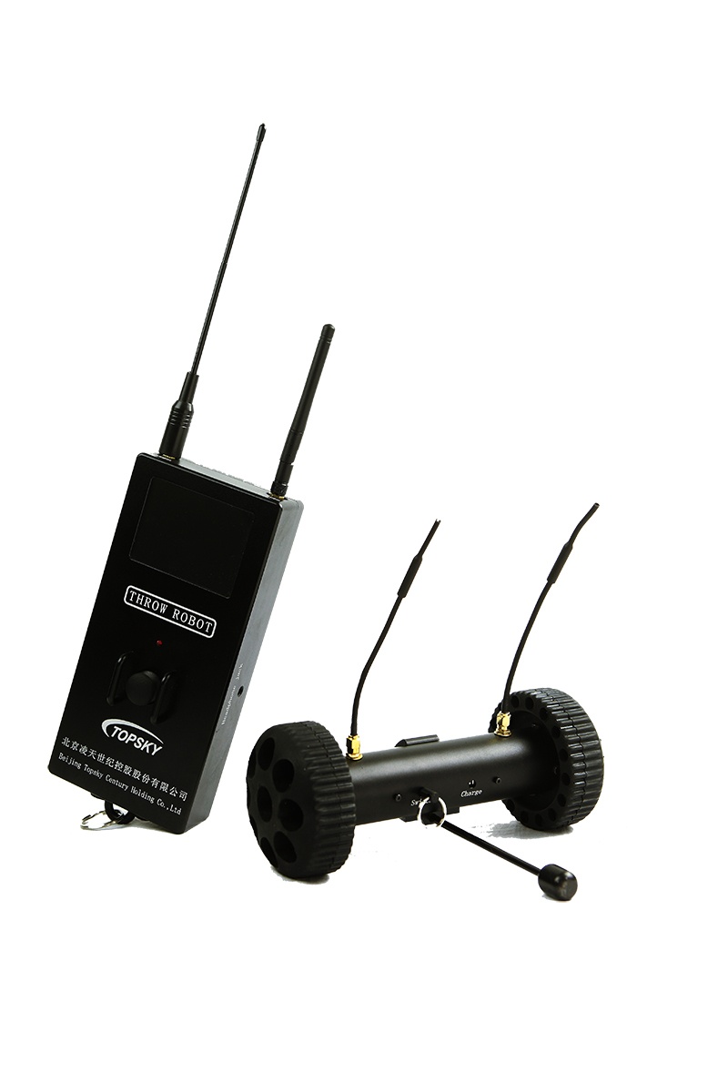 91蜜桃成品人视频入口