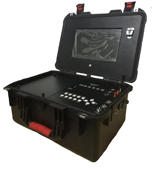 91蜜桃成品人视频入口