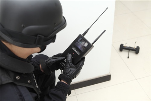 91蜜桃成品人视频入口