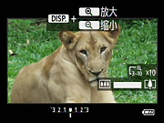 91蜜桃成品人视频入口