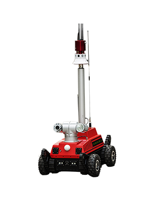 91蜜桃成品人视频入口