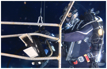 91蜜桃成品人视频入口