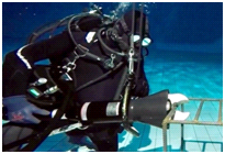 91蜜桃成品人视频入口