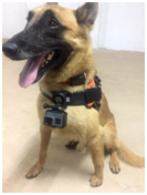 91蜜桃成品人视频入口