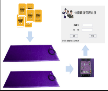 体能训练拓展系统