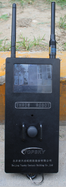 91蜜桃成品人视频入口