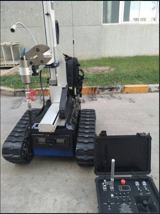 91蜜桃成品人视频入口