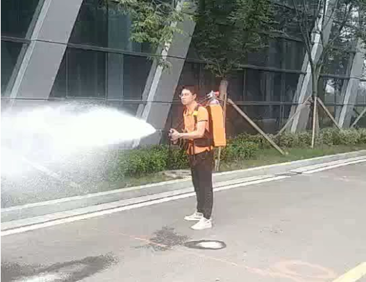 91蜜桃成品人视频入口