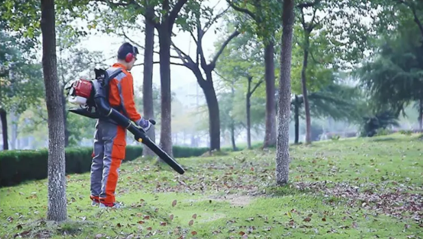 91蜜桃成品人视频入口