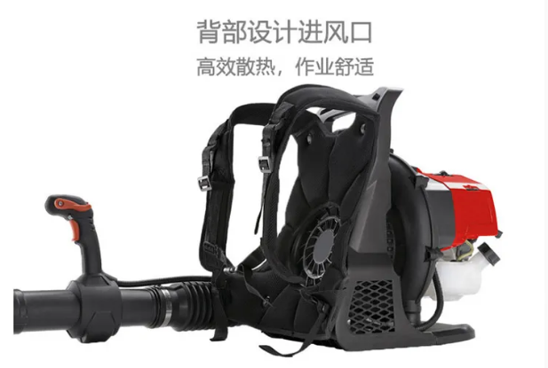 91蜜桃成品人视频入口