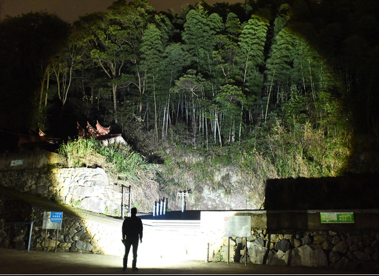 91蜜桃成品人视频入口