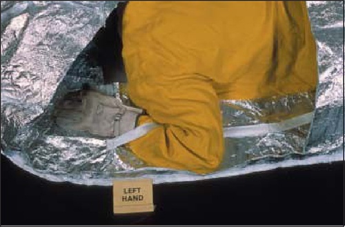 91蜜桃成品人视频入口