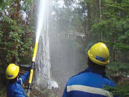 91蜜桃成品人视频入口