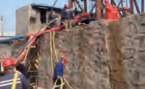 91蜜桃成品人视频入口