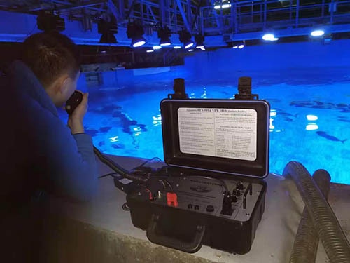 91蜜桃成品人视频入口