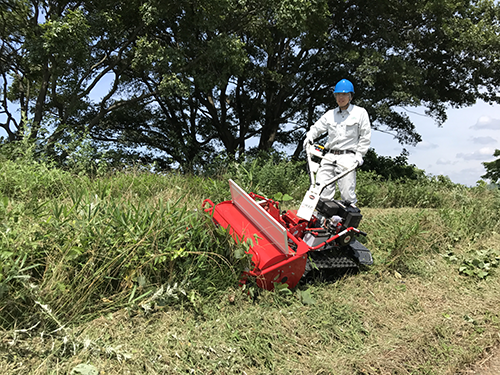 91蜜桃成品人视频入口