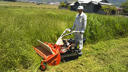 91蜜桃成品人视频入口