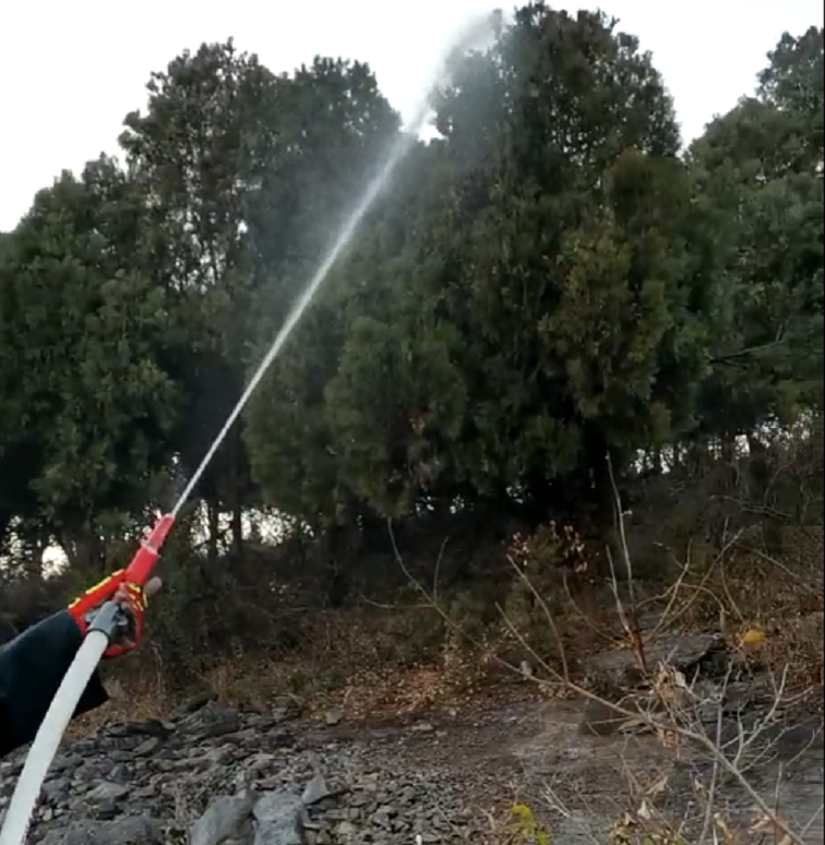 91蜜桃成品人视频入口