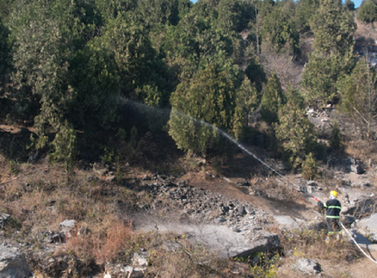 91蜜桃成品人视频入口