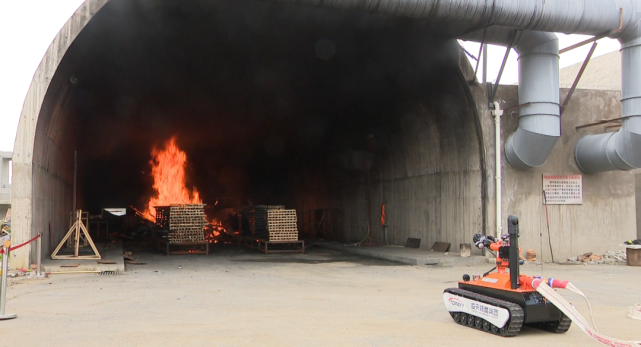 91蜜桃成品人视频入口