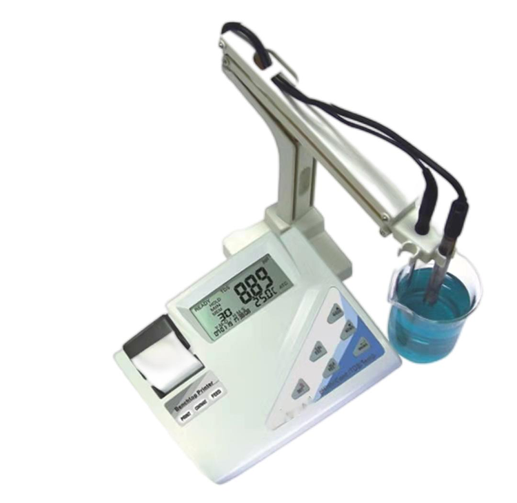 91蜜桃成品人视频入口