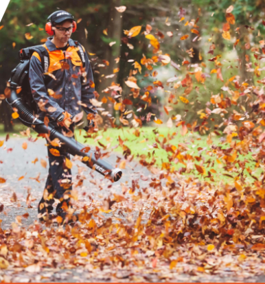 91蜜桃成品人视频入口