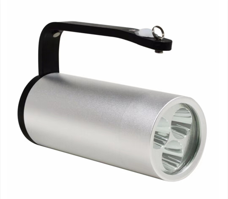 91蜜桃成品人视频入口