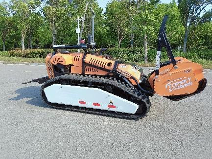 91蜜桃成品人视频入口