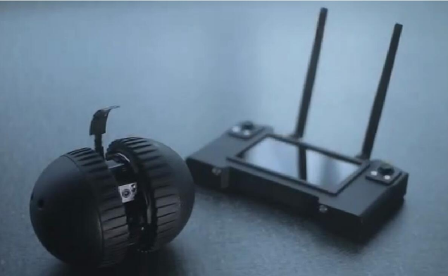 91蜜桃成品人视频入口