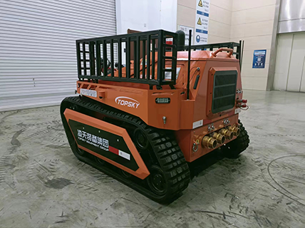 91蜜桃成品人视频入口