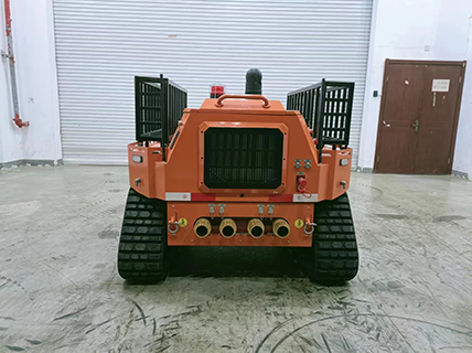 91蜜桃成品人视频入口