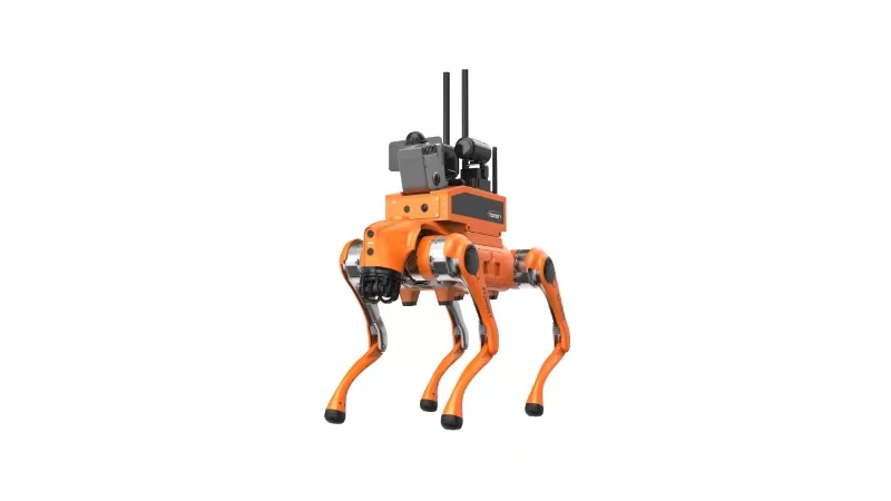 91蜜桃成品人视频入口