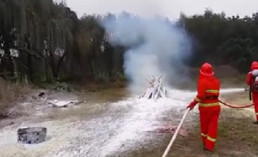 91蜜桃成品人视频入口