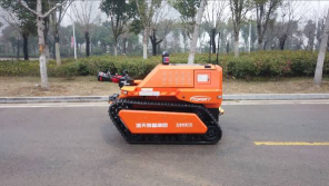 91蜜桃成品人视频入口