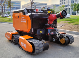 91蜜桃成品人视频入口