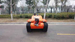 91蜜桃成品人视频入口