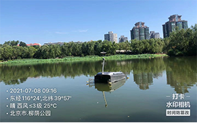 91蜜桃成品人视频入口