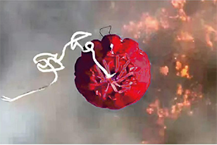 91蜜桃成品人视频入口