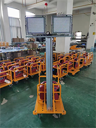 91蜜桃成品人视频入口