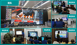 91蜜桃成品人视频入口