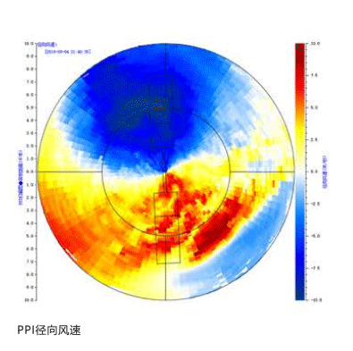 91蜜桃成品人视频入口