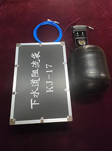 91蜜桃成品人视频入口