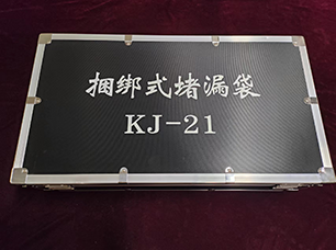 91蜜桃成品人视频入口