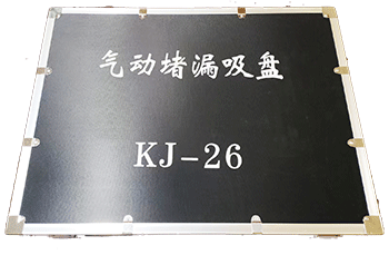 91蜜桃成品人视频入口